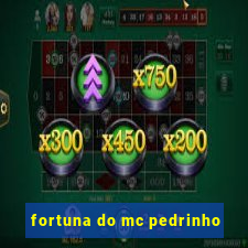 fortuna do mc pedrinho